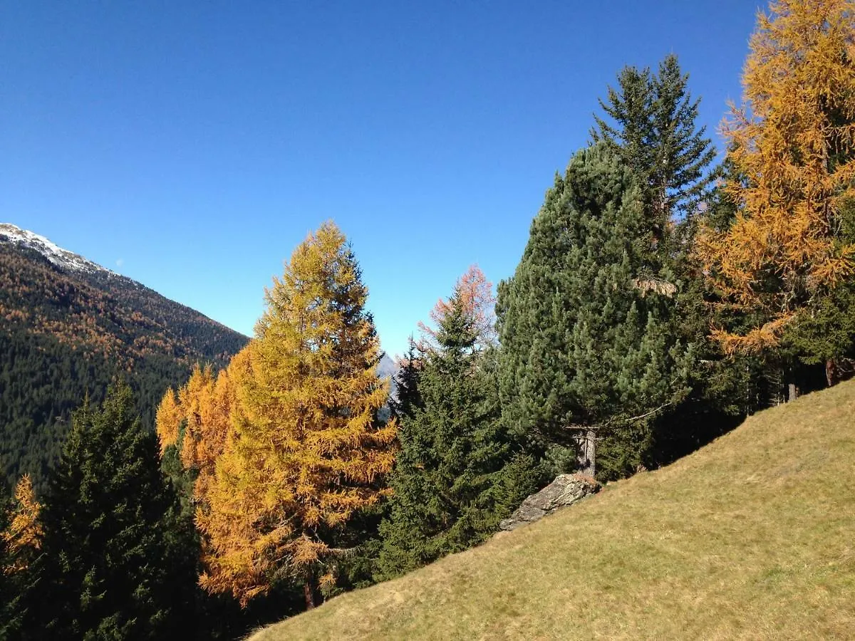 Chalet Del Bosco Valdisotto