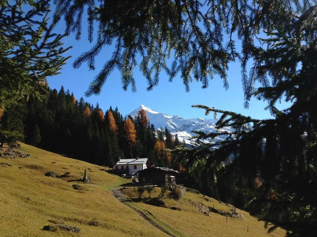 Chalet Del Bosco Valdisotto Italy